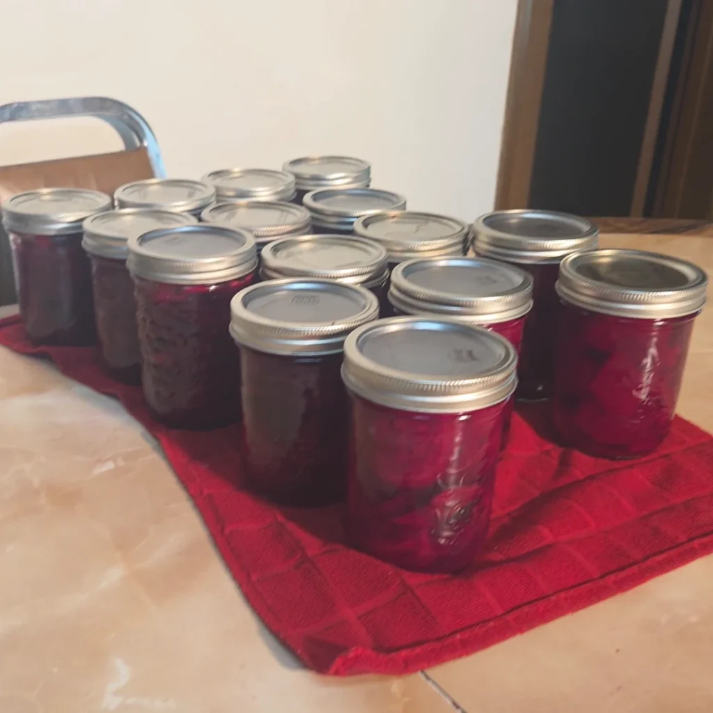 15 jars of beets on the table