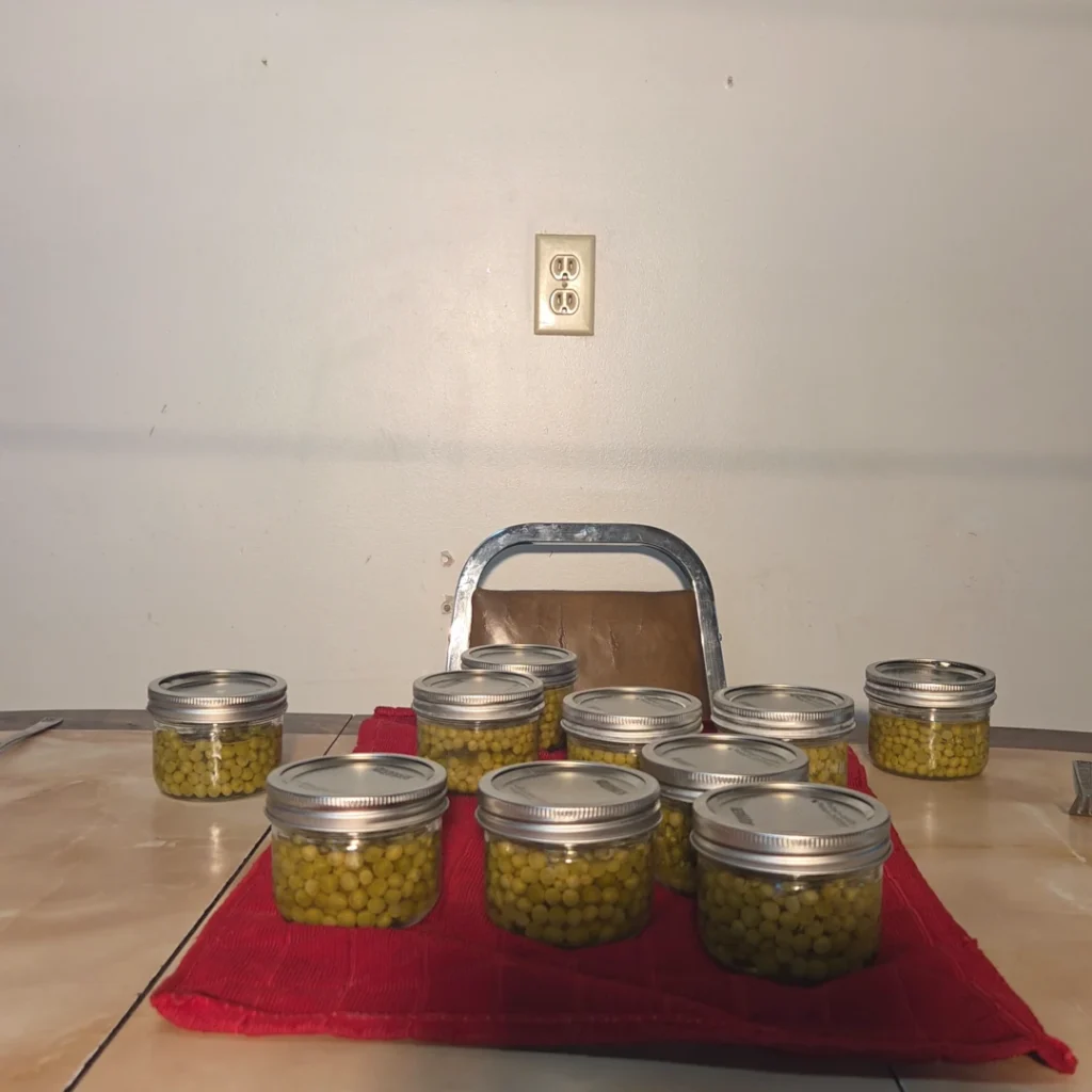 Jars of canned peas on the table