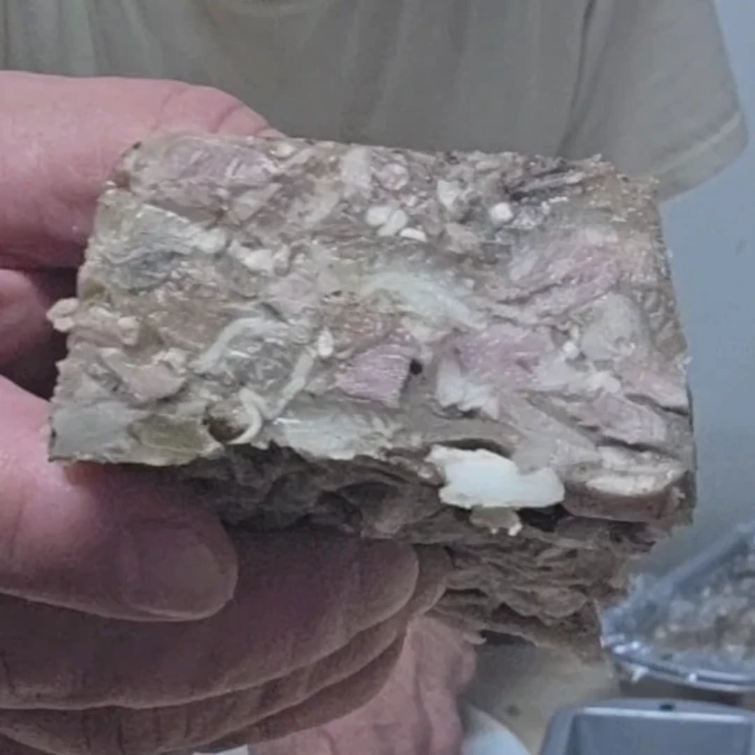 A view of a sliced piece of head cheese