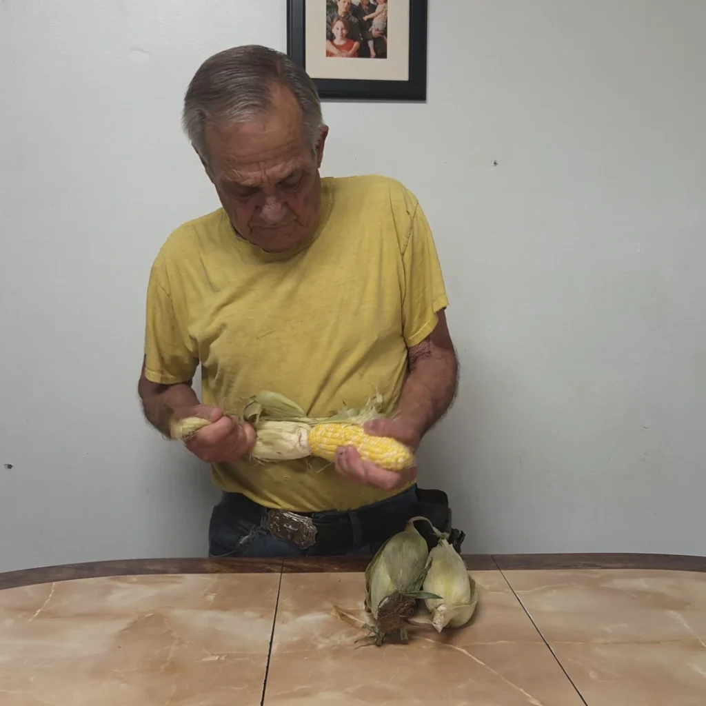 Husking the corn