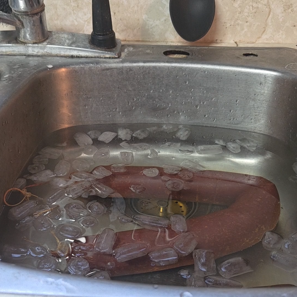 Sausage in ice water