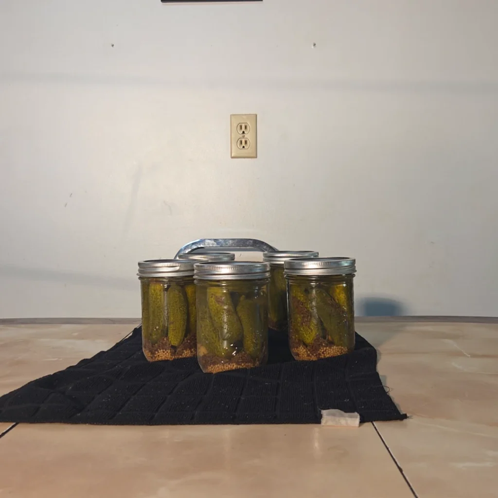 Finished dill pickle on the table