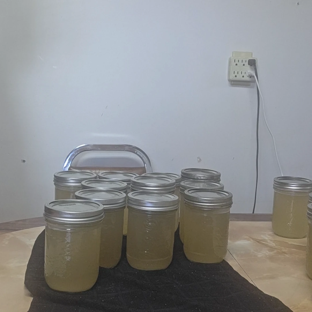 Pure Beef Stock from Soup Bones – No Vegetables, Just Beef Flavor