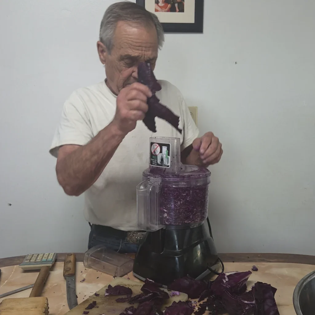 Shredding the cabbage with a food processor