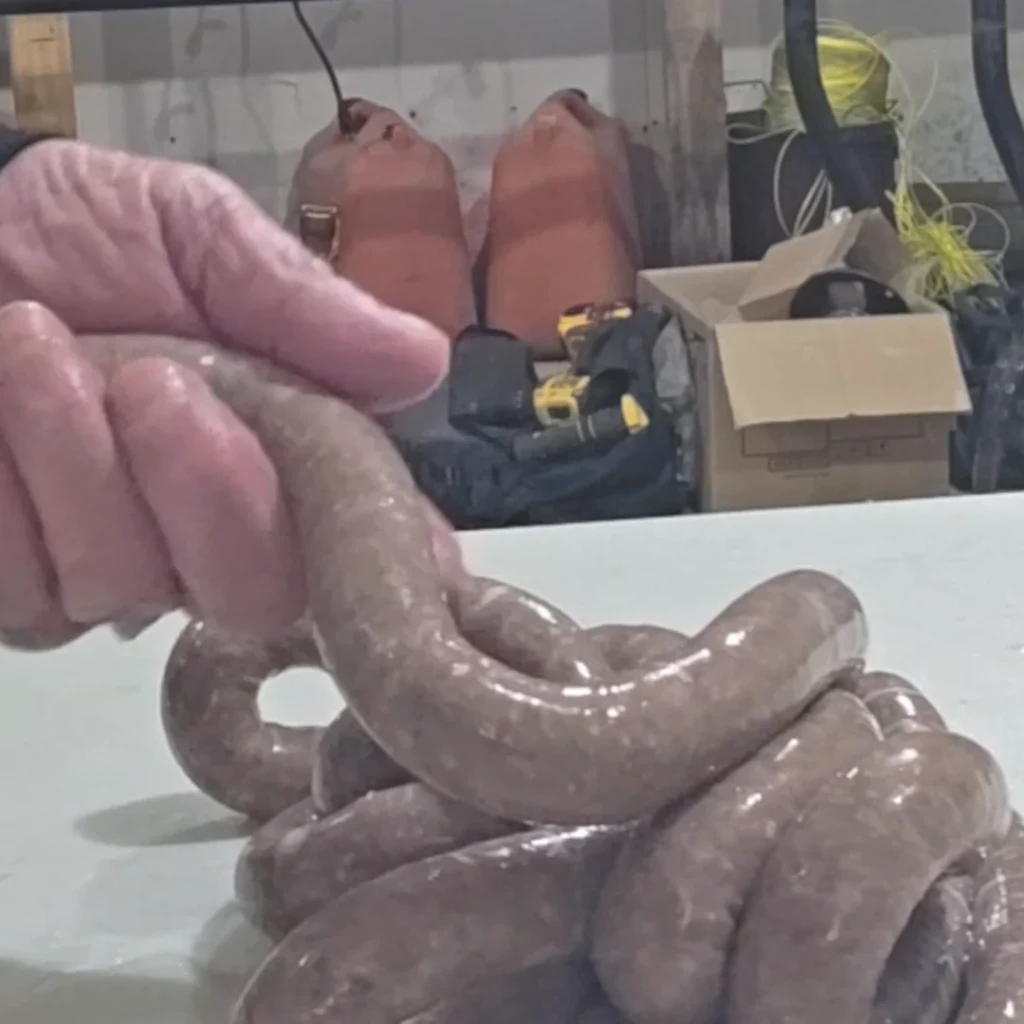 stuffing the casings