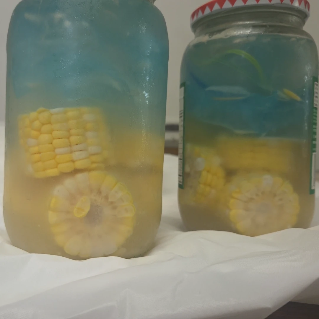 Lacto-fermented corn in jars