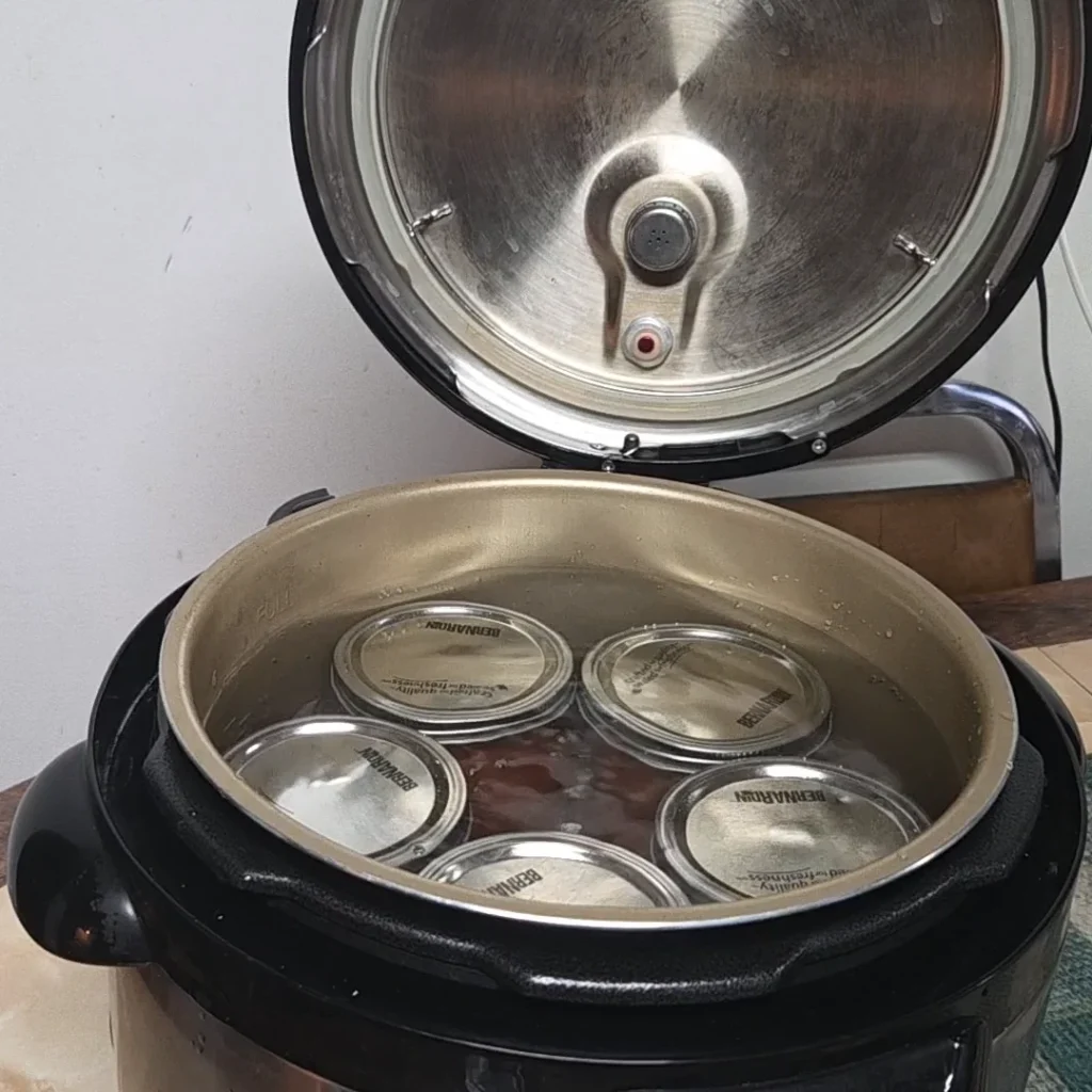 jars in the Carey electric canner